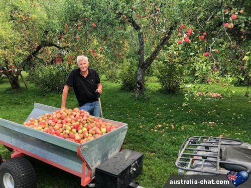 ronald3688 - date a Australian, 100% free ronald3688